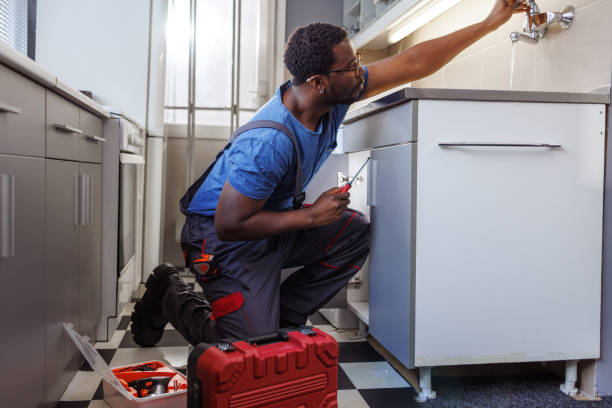 Best Local Plumber Services  in Arlington, VA